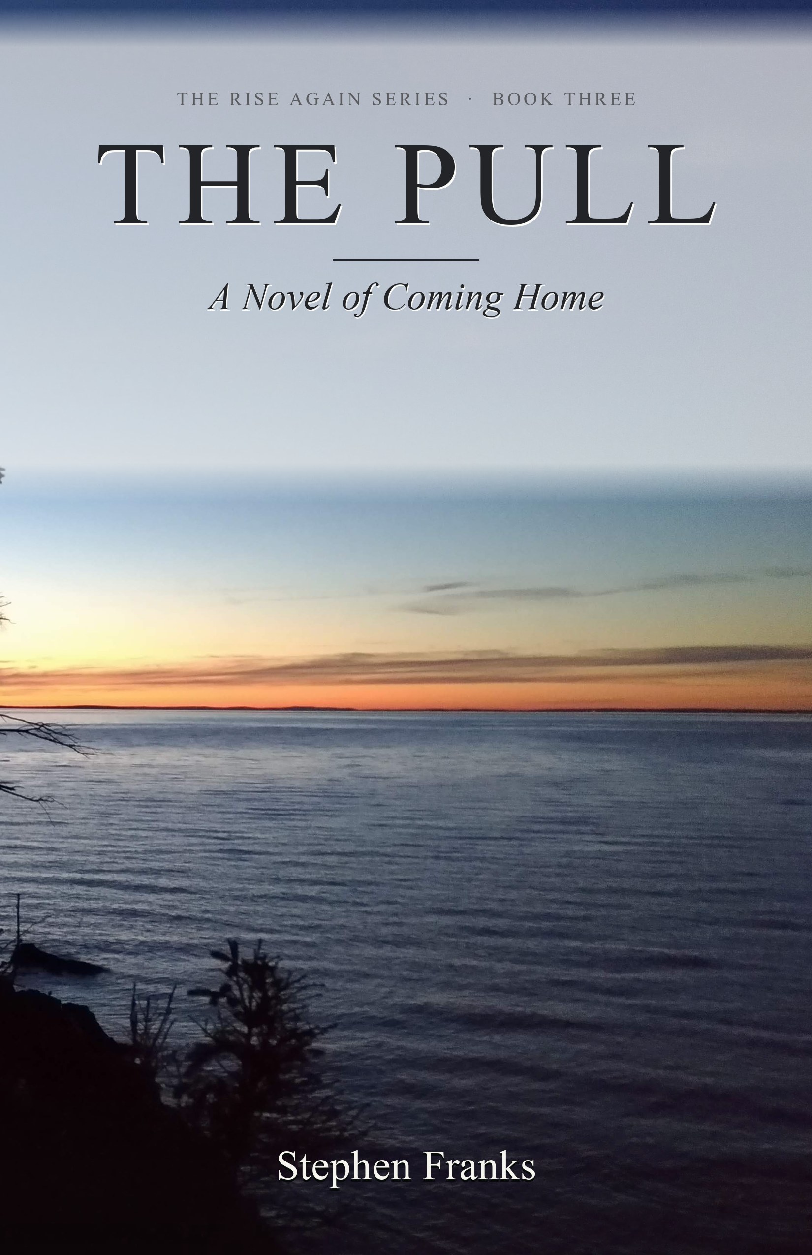 The Pull book cover