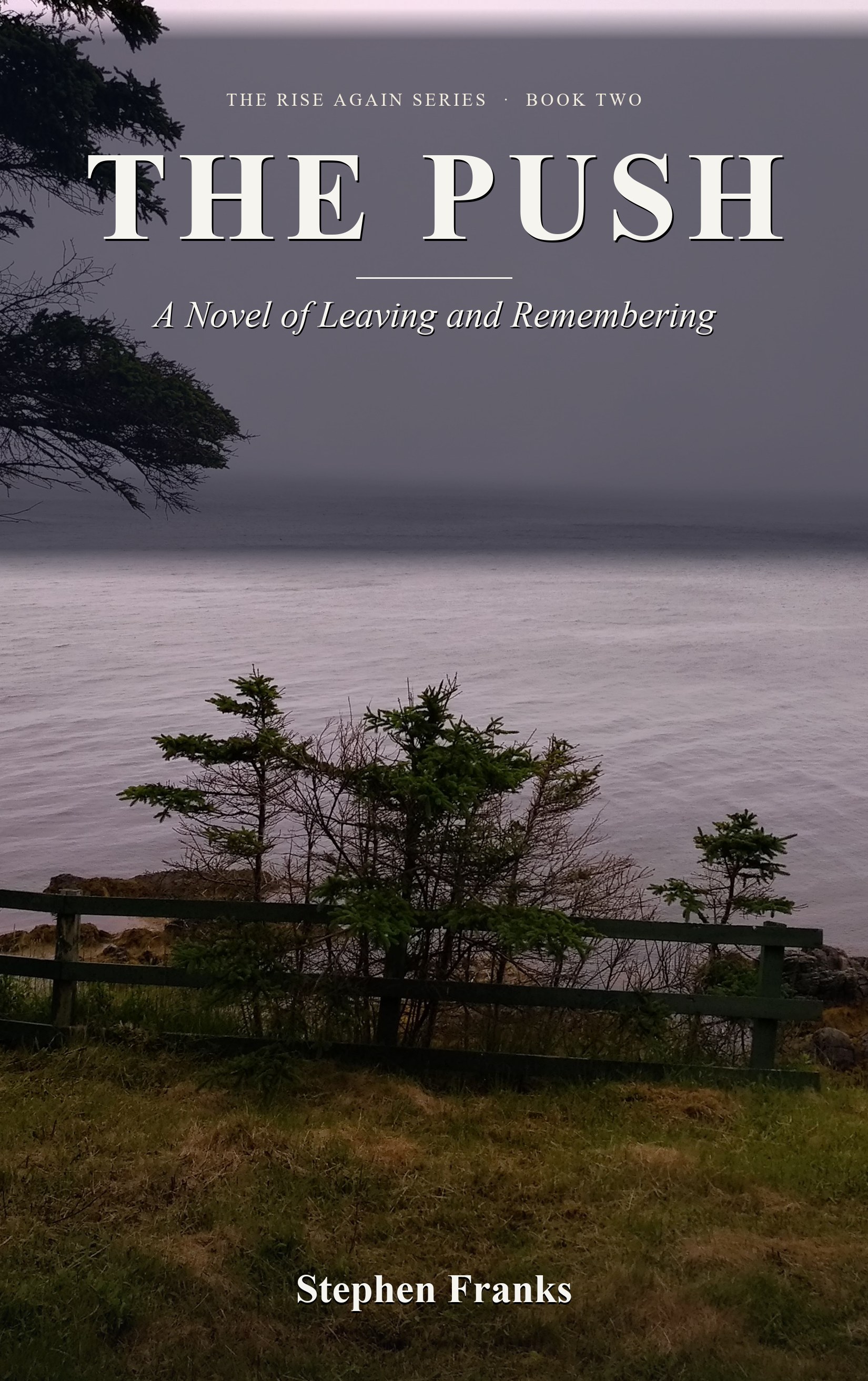 The Push hardcover dust jacket