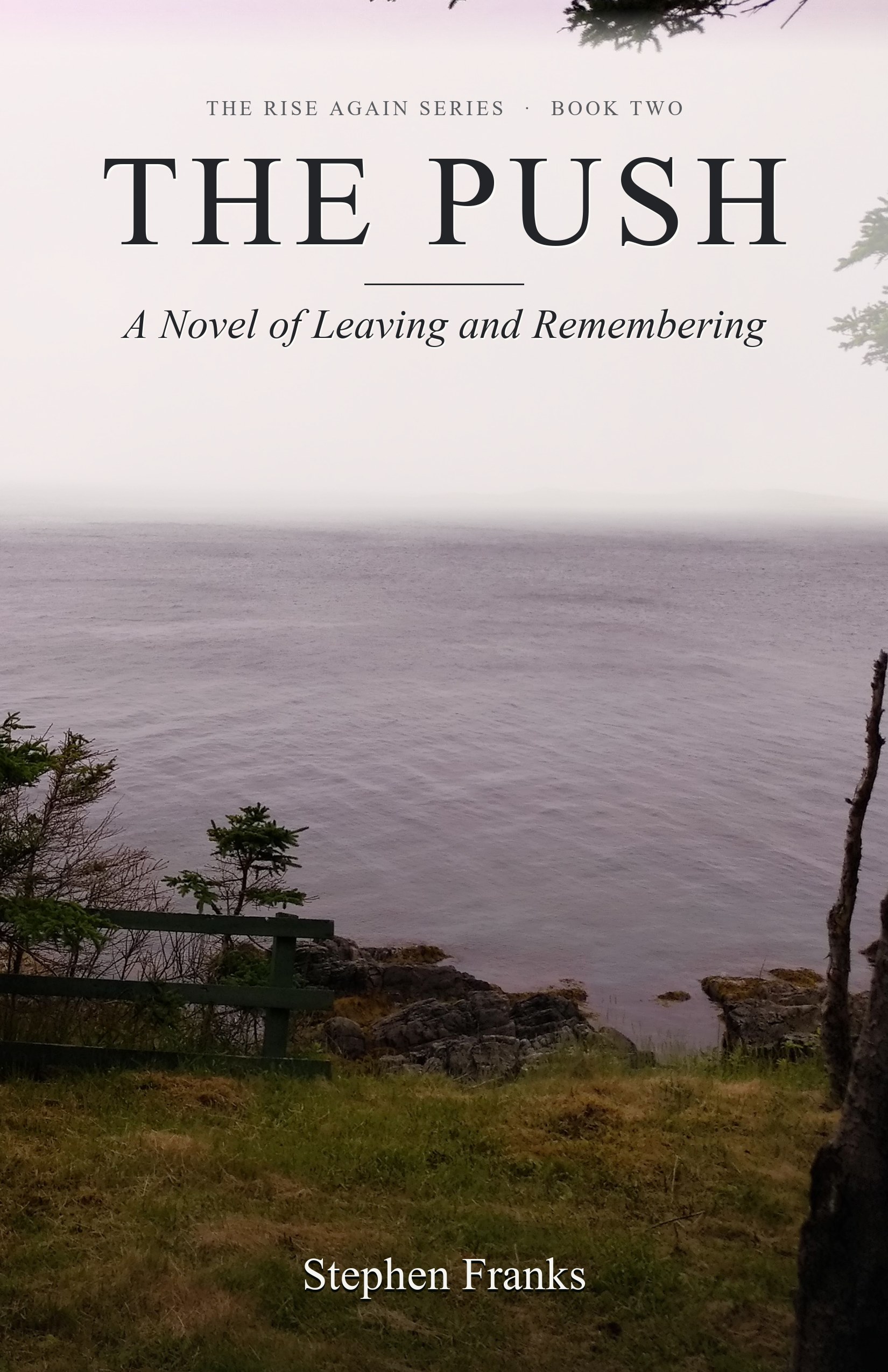 The Push book cover
